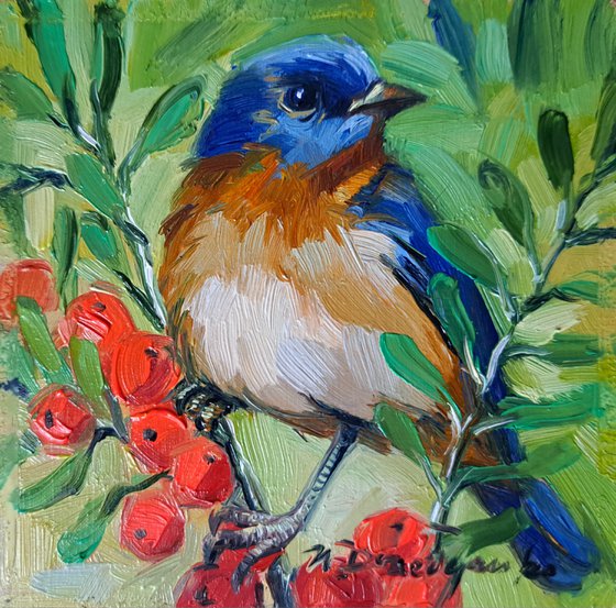 Estern Bluebird painting original oil art framed 4x4, Blue bird small wall art framed