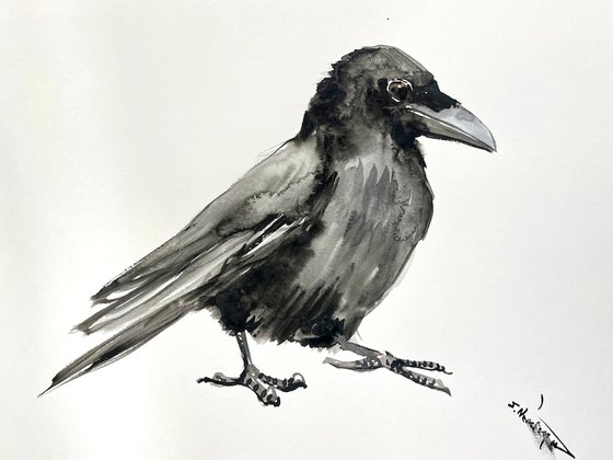 Crow