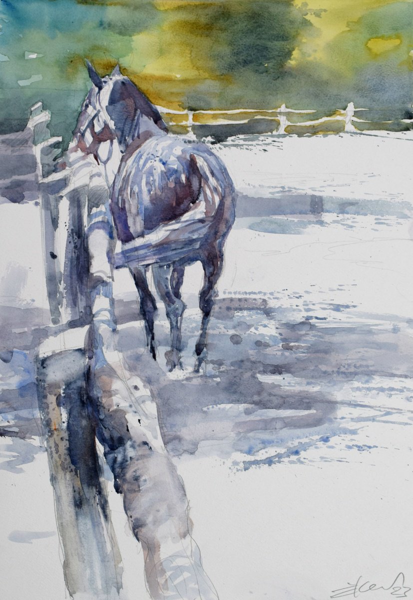 Expressive Animal Watercolour By Goran Zigolic Watercolors, 20 X 14, Horse In The Yard 2, Original Artwork