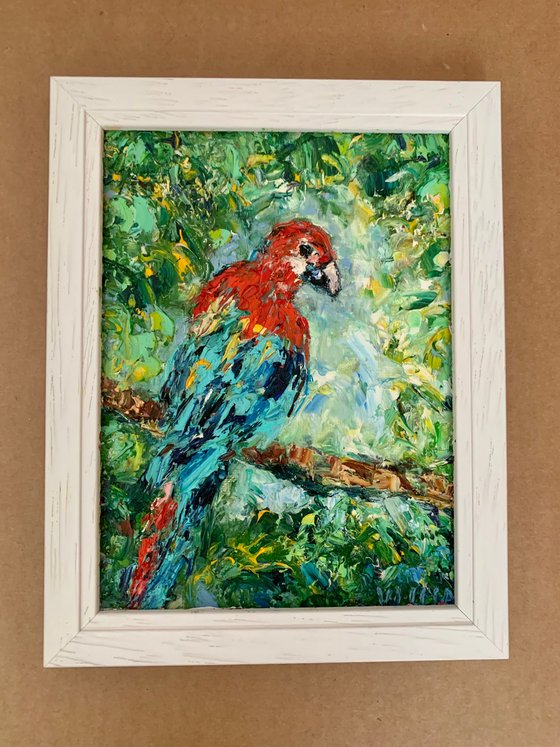 Parrot Ara