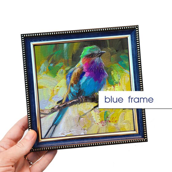 Lilac-breasted roller