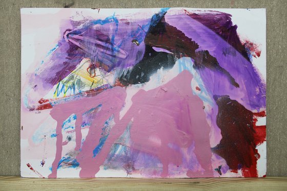 Animal bones 14