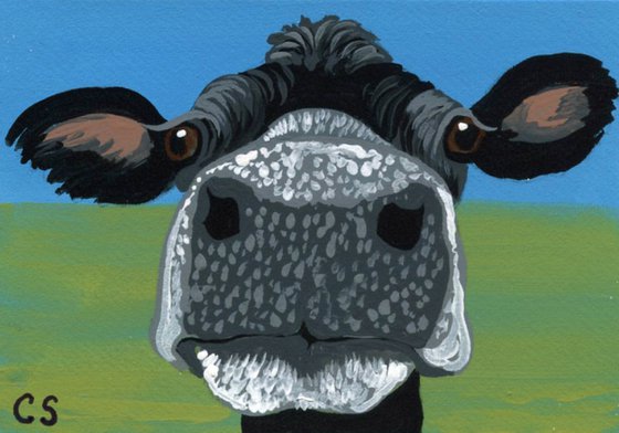 ACEO ATC Original Miniature Painting Black Cow Farmyard Art-Carla Smale