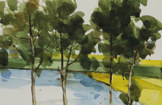 Yellow green composition 6
