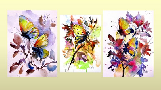 Little butterfly collection