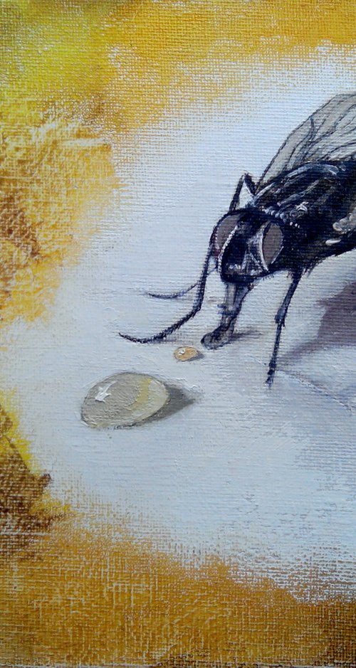 La mosca y la miel by TOMAS CASTAÑO