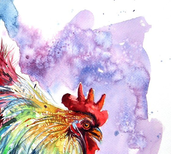 Colorful rooster
