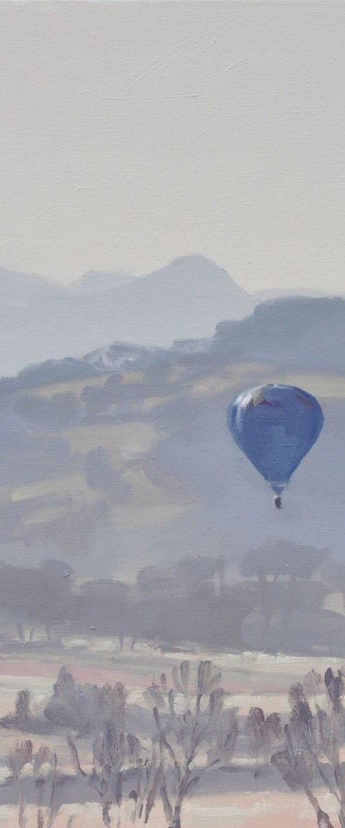 April 09, hot air balloon in the morning light by ANNE BAUDEQUIN