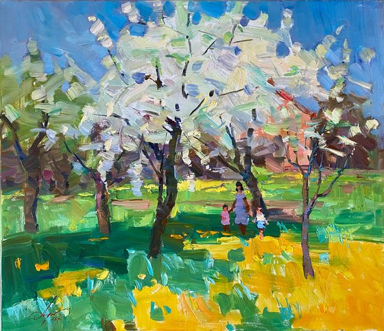 Sunny Stroll – Cherry Blossoms