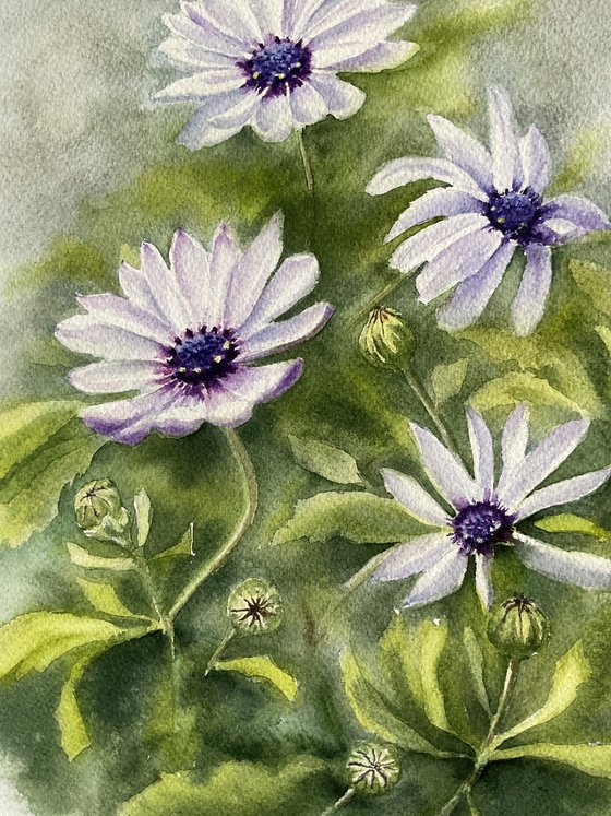 Blue eyes, white flowers, original