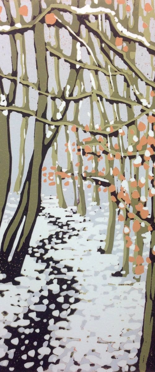 Snowy Beeches by Alexandra Buckle