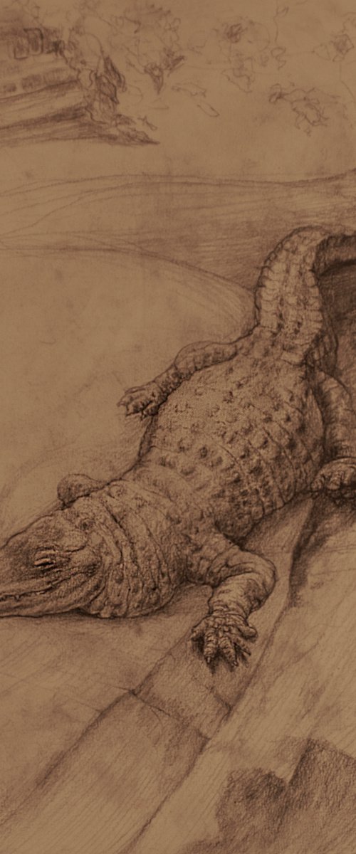 Muja the Aligator by Nikola Ivanovic