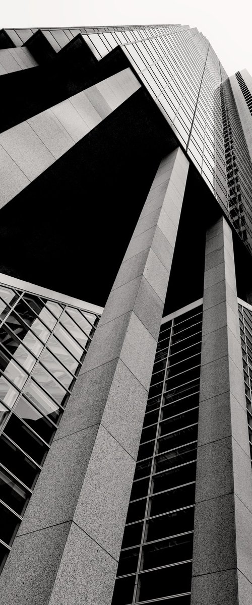 ASCENT by Brandon LeValley