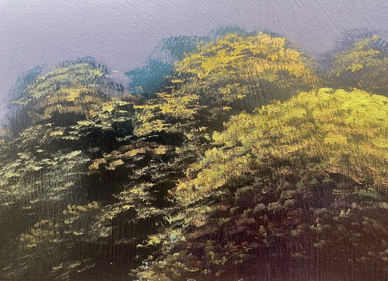 Lavender Fields 1