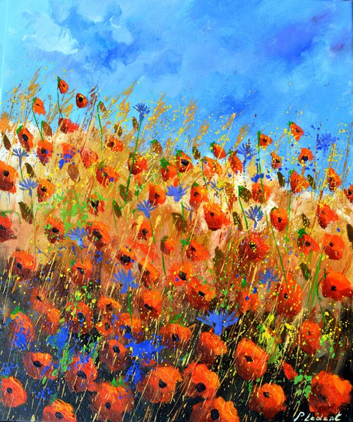Red poppies  5624 by Pol Henry Ledent