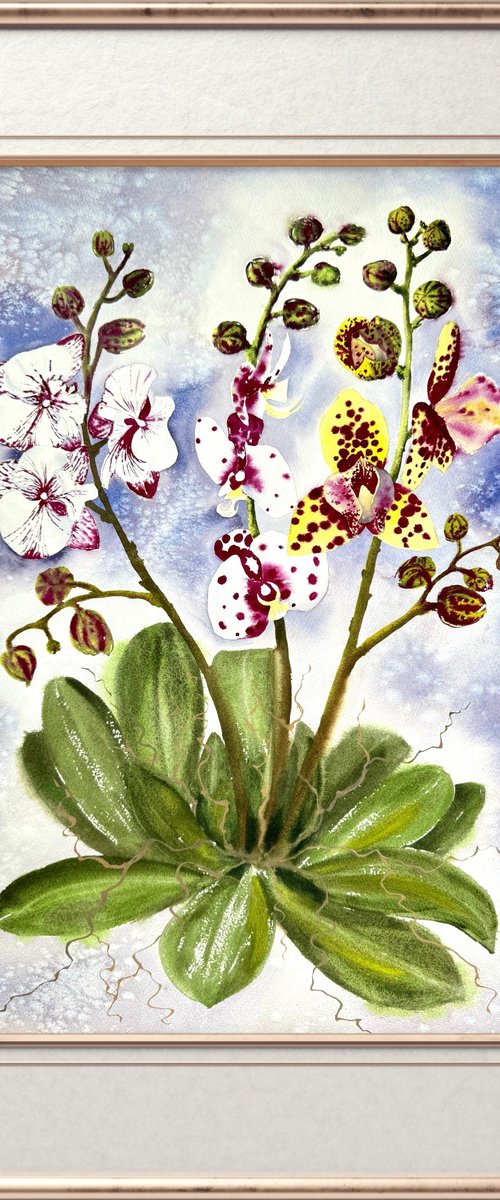 White Pink Bordo Orchid by Yuliia Sharapova