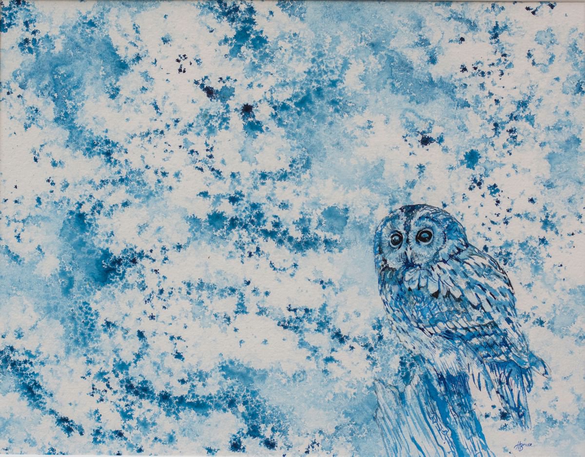 Tawny Owl in Blue by Hannah Bruce