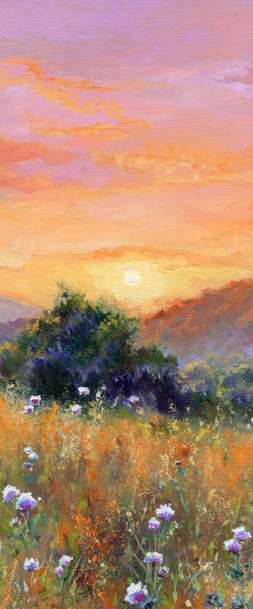 Summer sunset field landscape by Lucia Verdejo