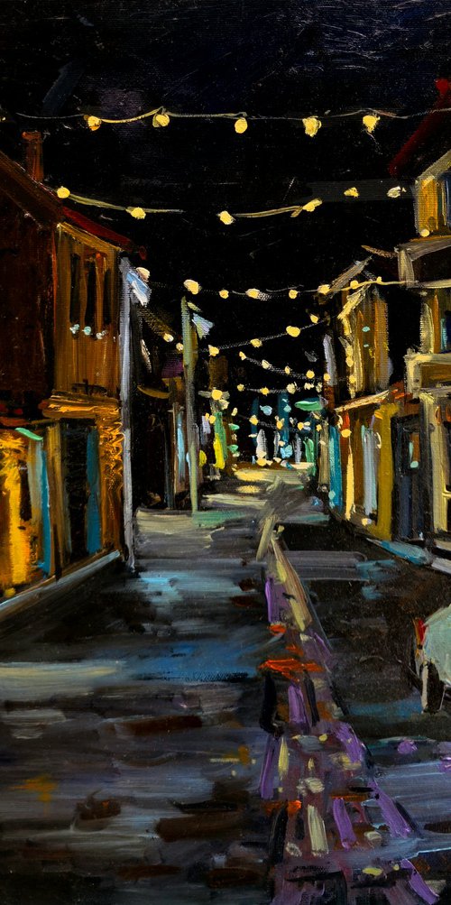 Holiday Lights in the Neighborhood by Joan Mato