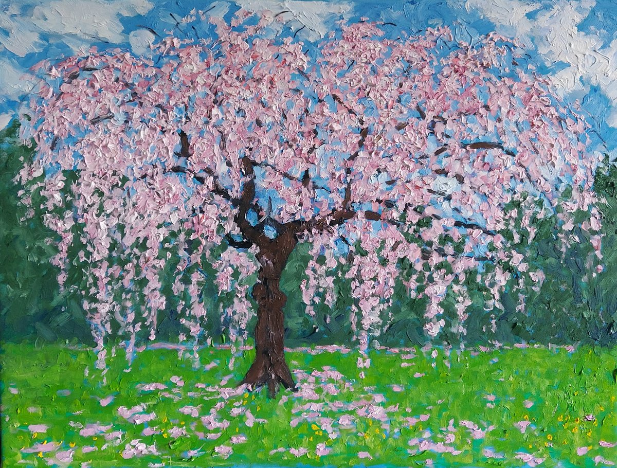 blossom 38 by Colin Ross Jack