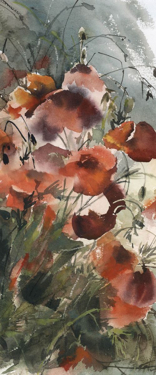 Red Poppy Flowers by Sophie Rodionov