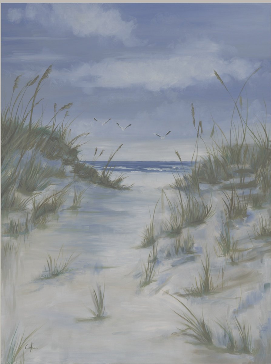 Photorealistic Animal Oil Painting By Nicola Colbran, 24 X 31", Three Seagulls Camber, Original Artwork