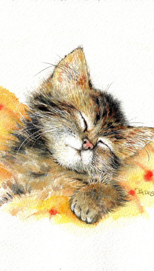 Kitten by Ben De Soto