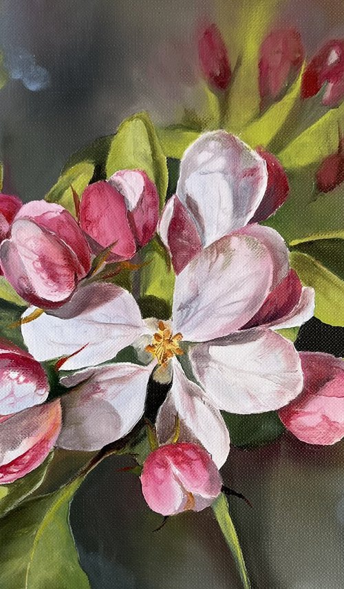 Apple blossoms 3 by Myroslava Denysyuk