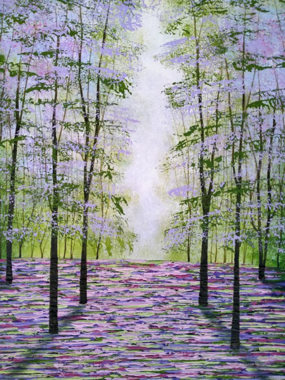 Evergreen Glade