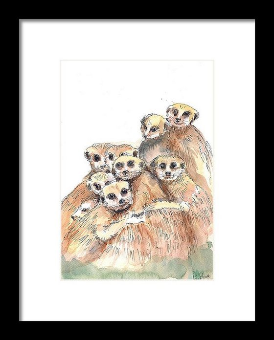 The Huddling Family of Meerkats