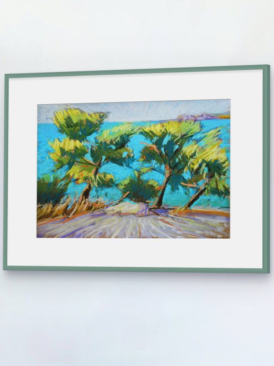Mediterranean afternoon. Pines