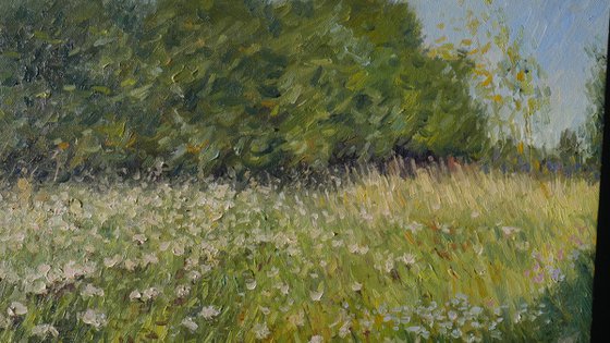 August Herbs - sunny summer landscape painting