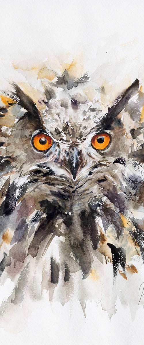 Eurasian Eagle-owl by Andrzej Rabiega