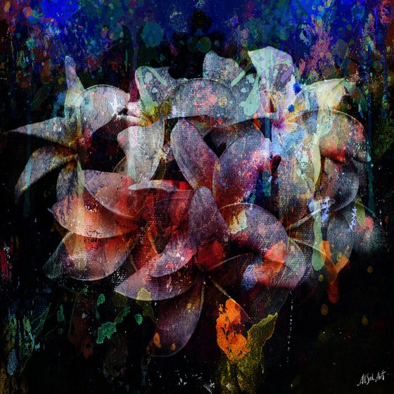 Abstract Plumeria Flowers