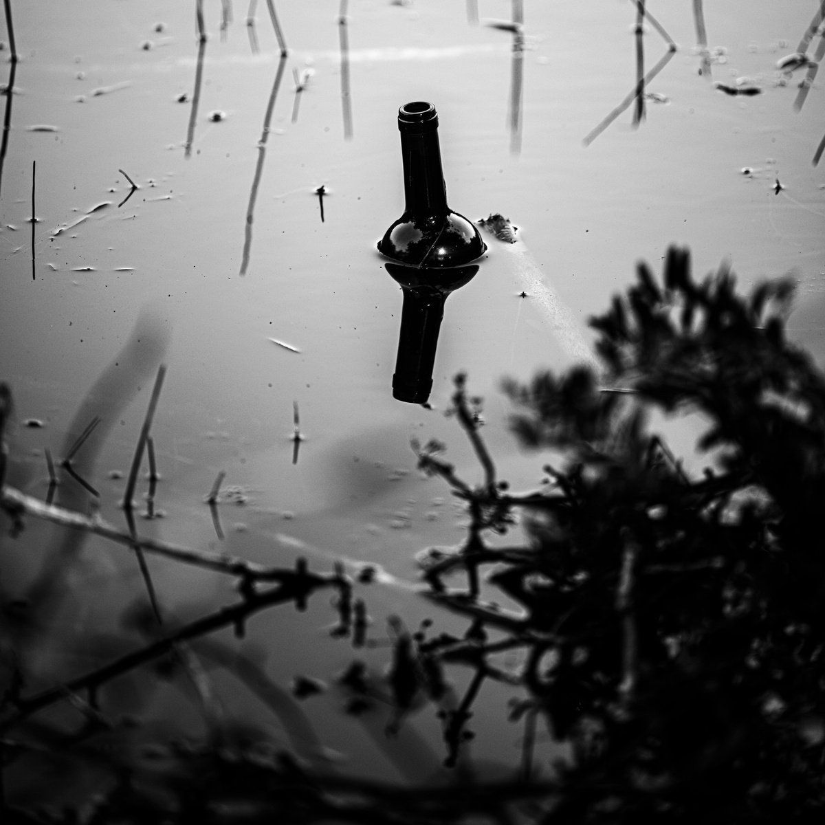 Abstract Photograph By David Huntzinger, 17 X 18, Drinks On Me., Original Artwork