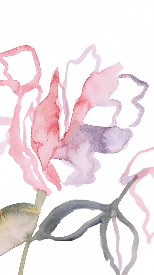 Rose Study No. 55 by Elizabeth Becker