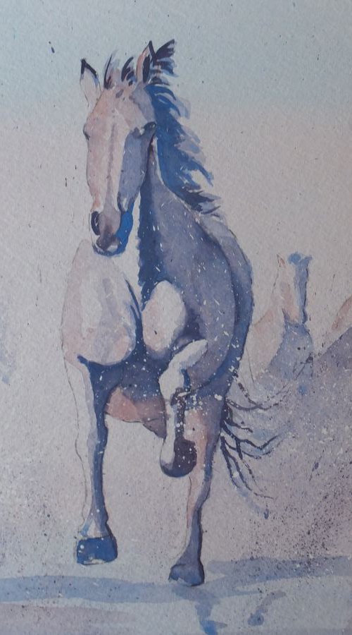 White Horses of the Camargue by David Harmer