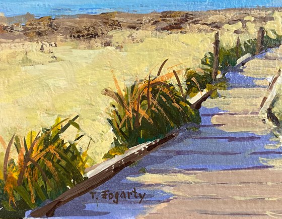 On Spanish Bay Boardwalk landscape