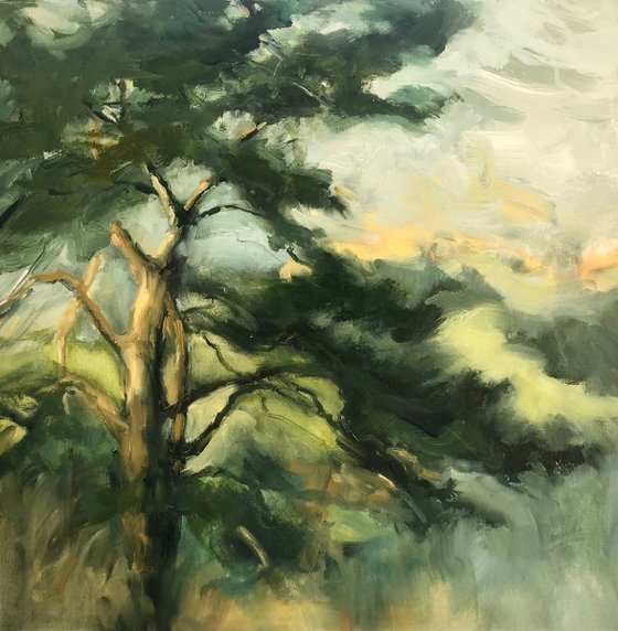 Dancing Light