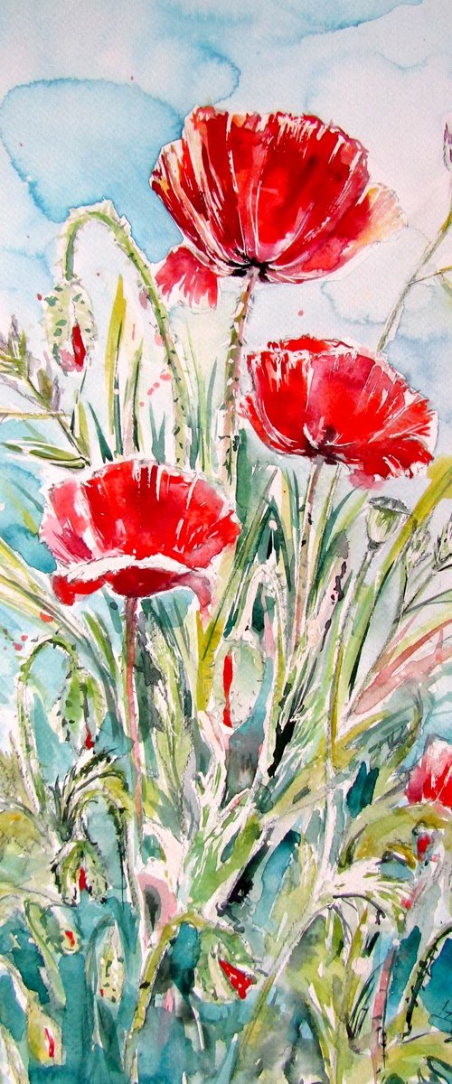 Three poppy by Kovács Anna Brigitta