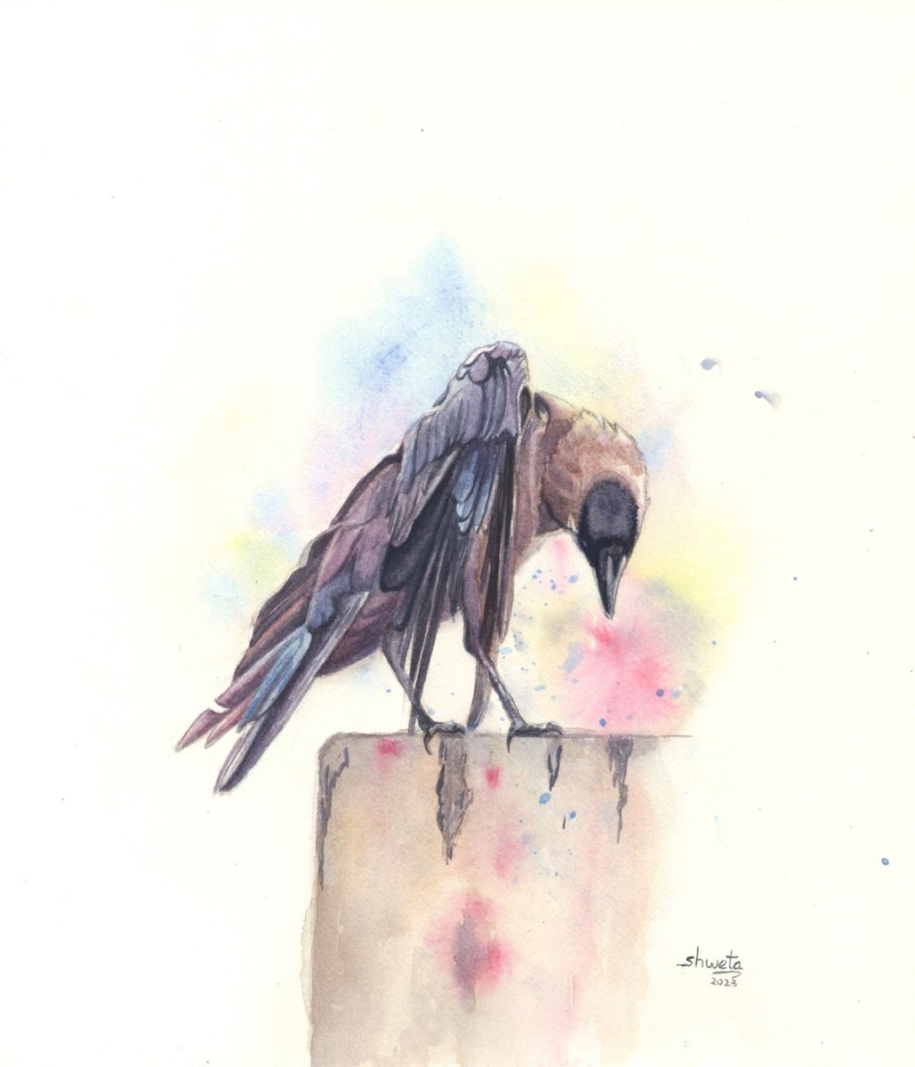 Greynecked Crow Watercolor Painting by Shweta  Mahajan