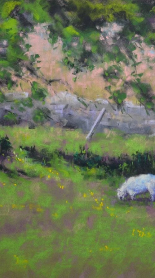 New Pastures by Denise Mitchell