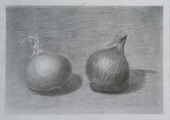 Still life # 3 Onion. Original pencil drawing.