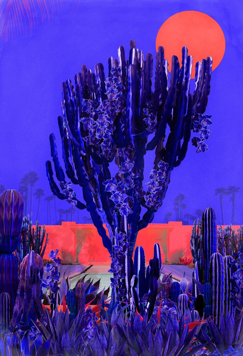 Surrealistic Landscape Photograph By Nadia Attura, 28 X 39", Cactus Drive, Original Artwork