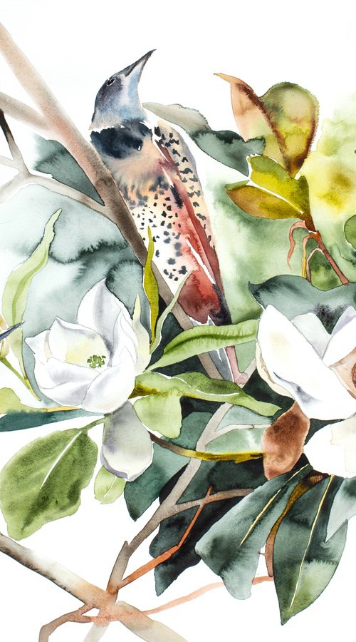 Magnolia and Flickers by Elizabeth Becker