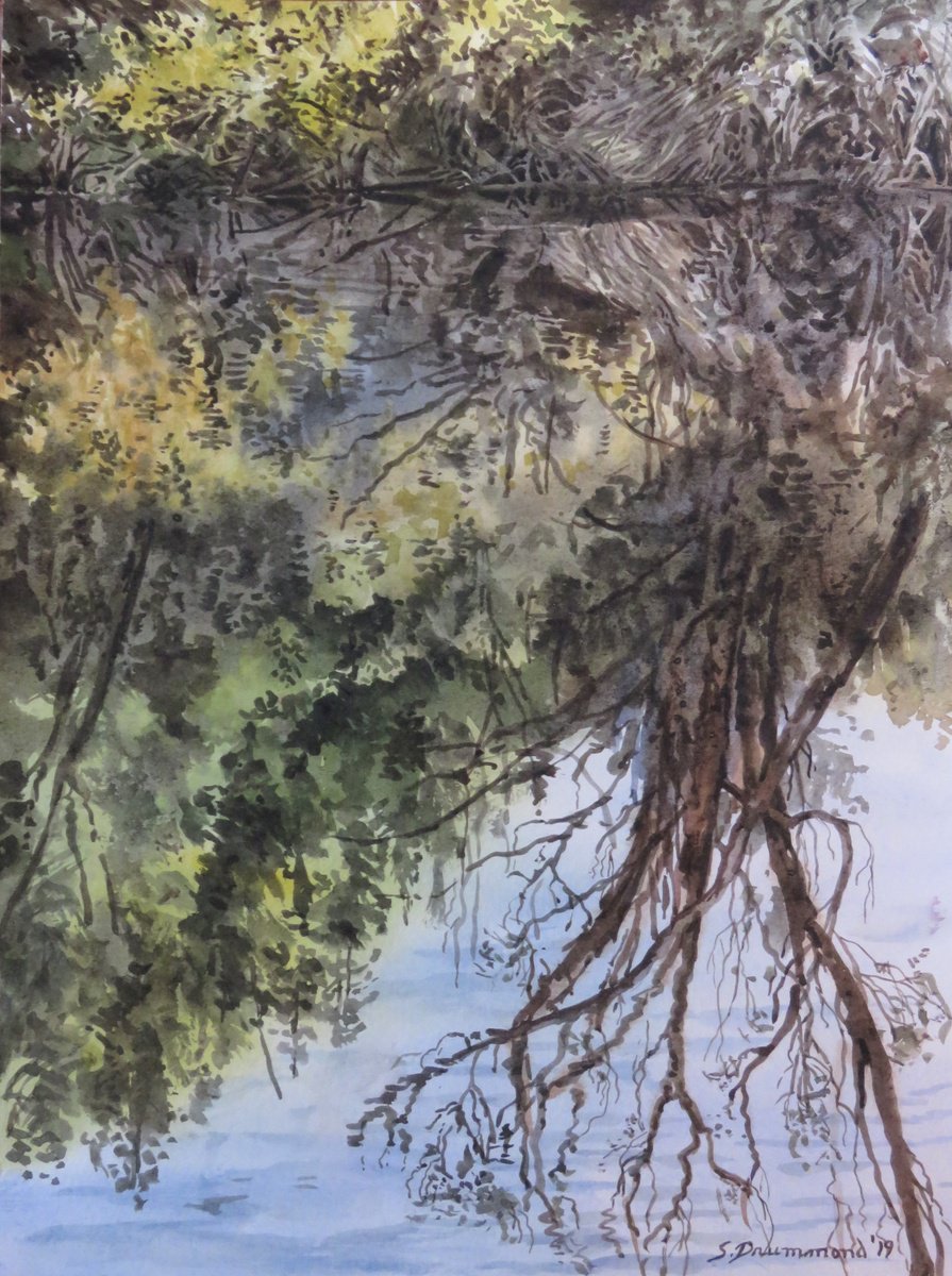 American River Reflections by Sarah Drummond