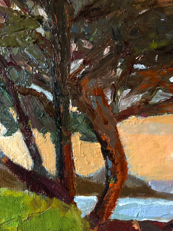 Carmel by the sea oil landscape