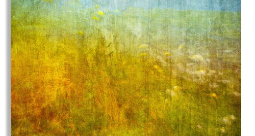 Artwork by Lynne Douglas