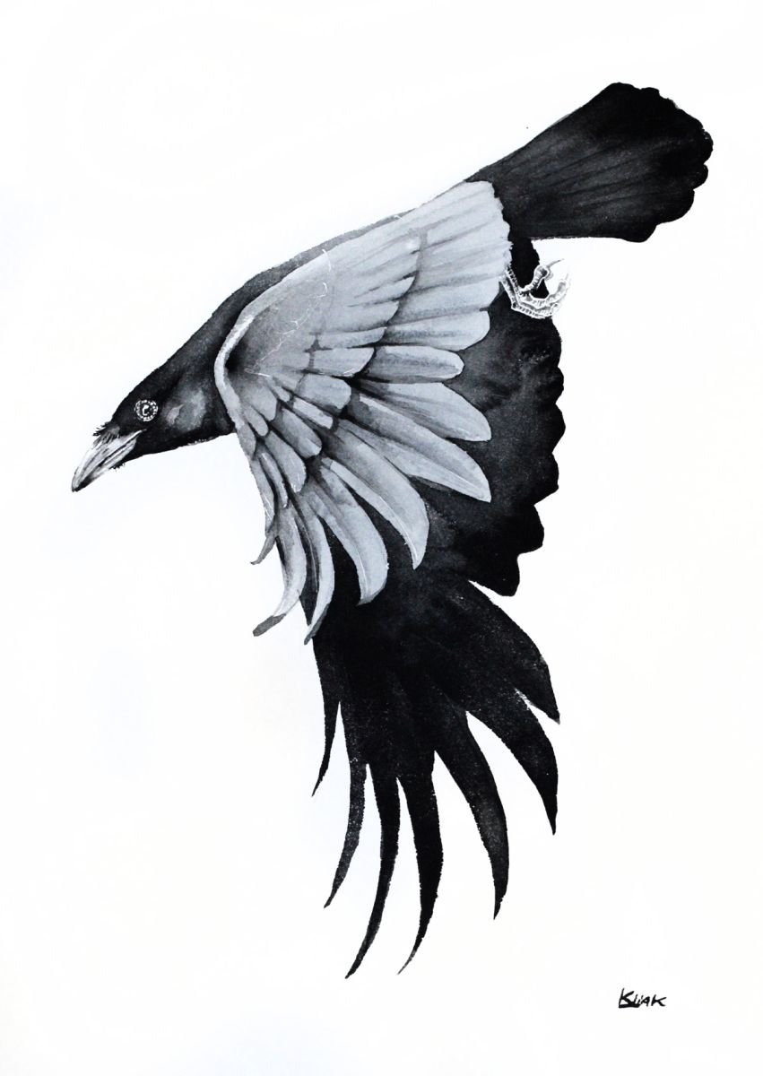 Raven, wildlife, bird, watercolour painting by Karolina Kijak