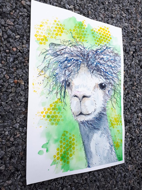 "Alpaca"